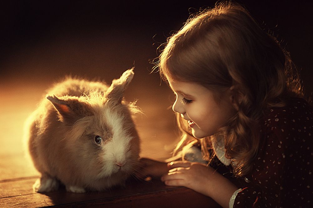 Photograph by Юлия Бизяева