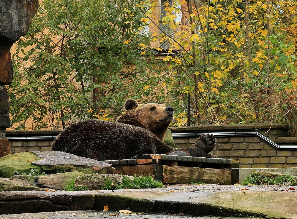 Утро в зоопарке.
