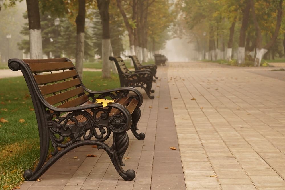 Photograph by Александр Попов