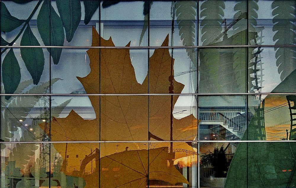 Закат в заплатках