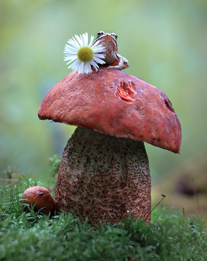 Букет для любимой.