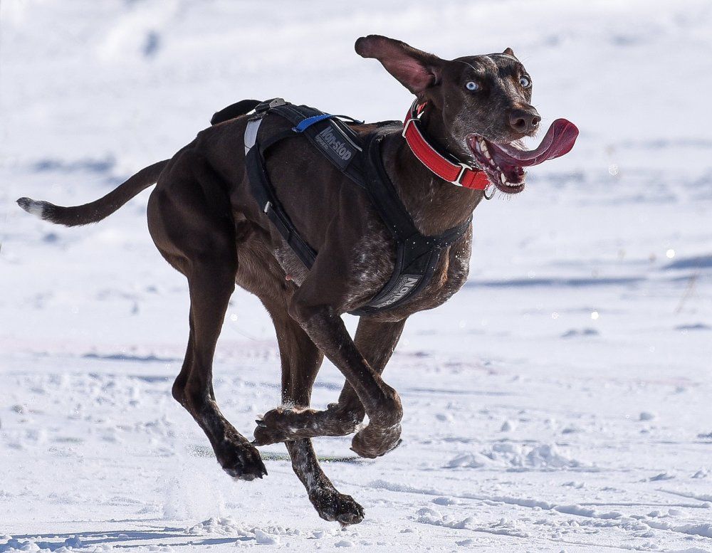 Лови момент, фотограф!