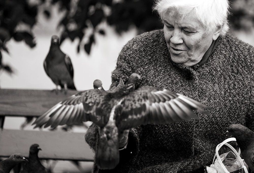 Расскажите, птицы...