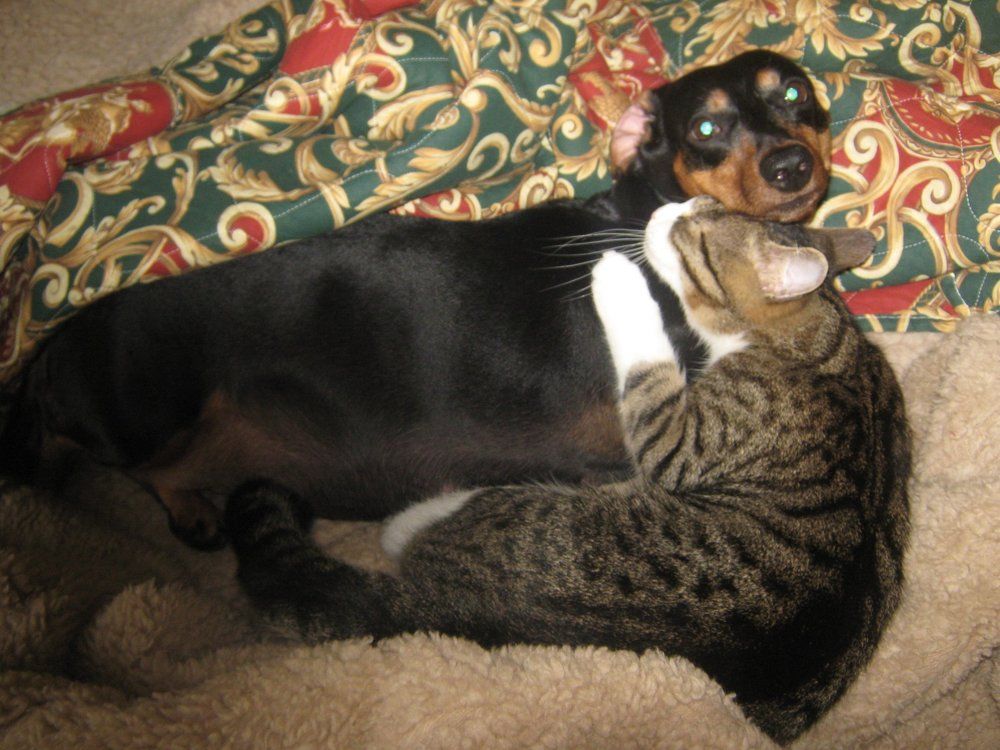 Искренняя любовь