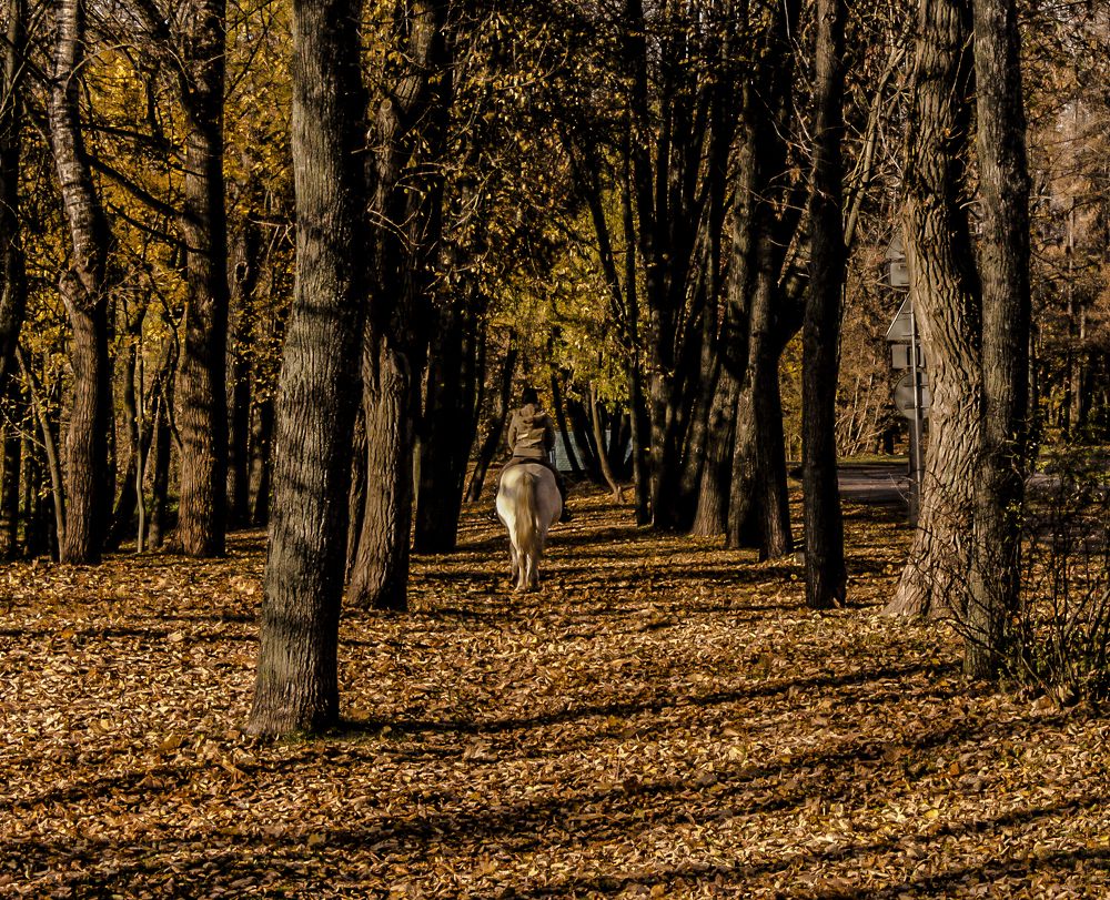 Куда уходит осень...