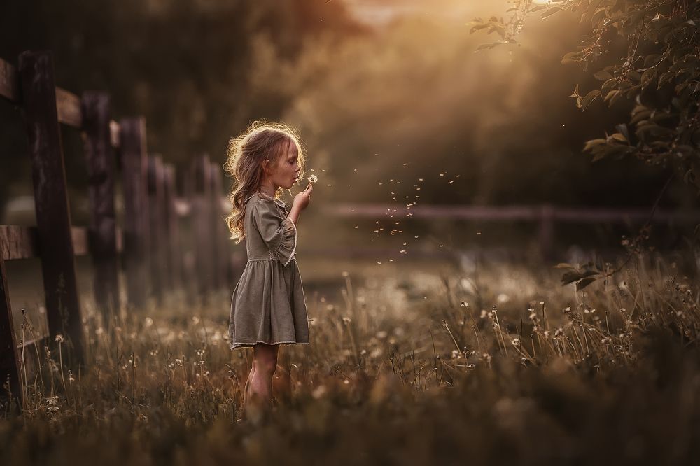 Одуванчиковое лето