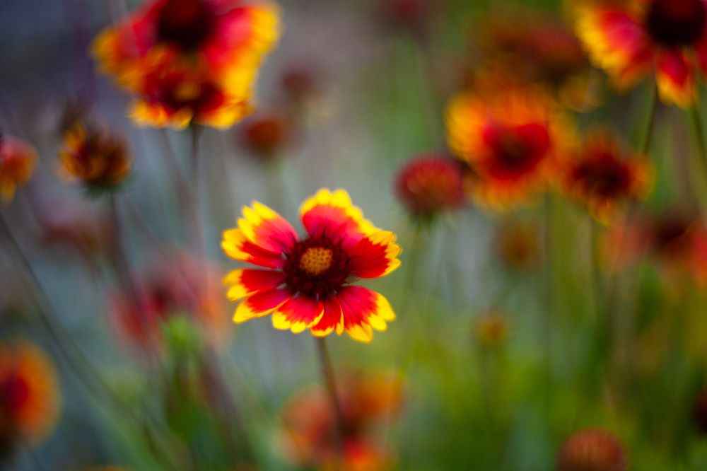 Photograph by Гузель