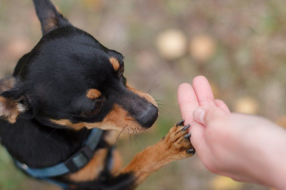 Photograph by Анна Кесарева