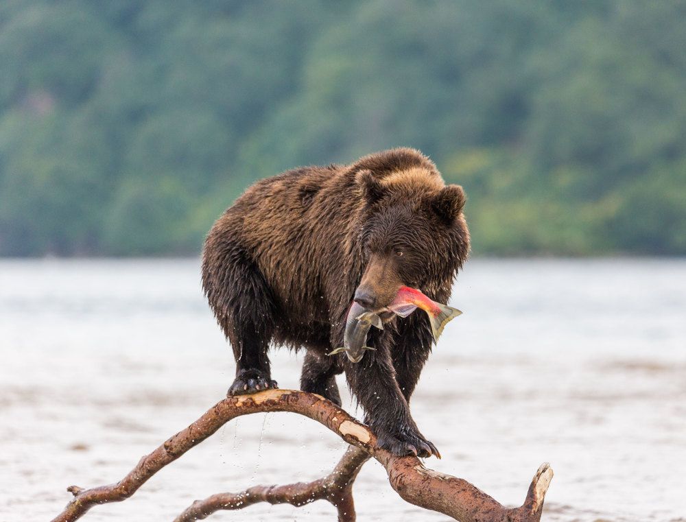 На пьедестале