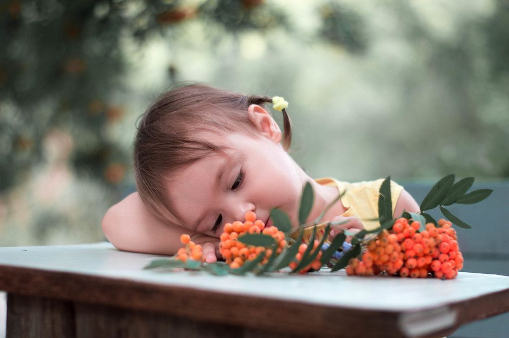 Фотография автора Анна Ватансевер