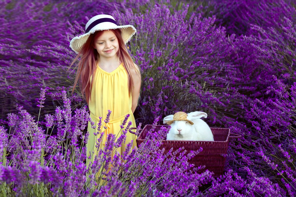 Photograph by Stranger Ksenia