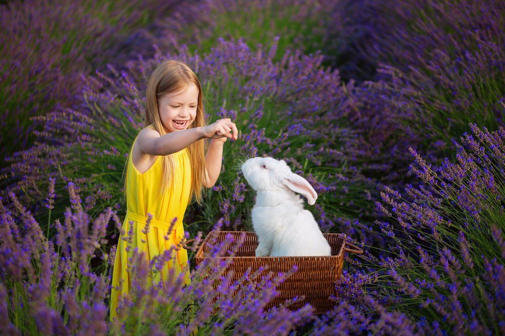 Photograph by Stranger Ksenia