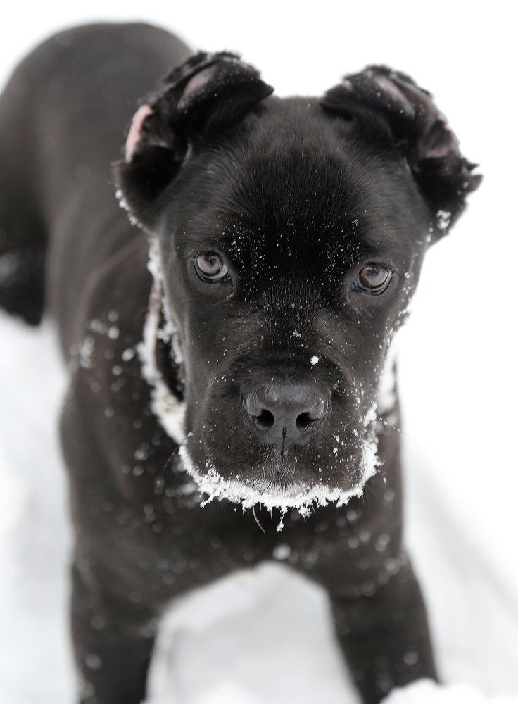 На прогулке