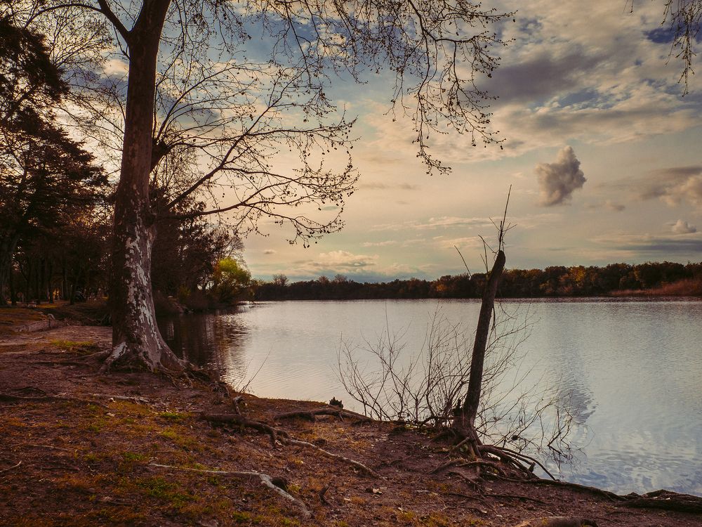 La tierra y la mirada