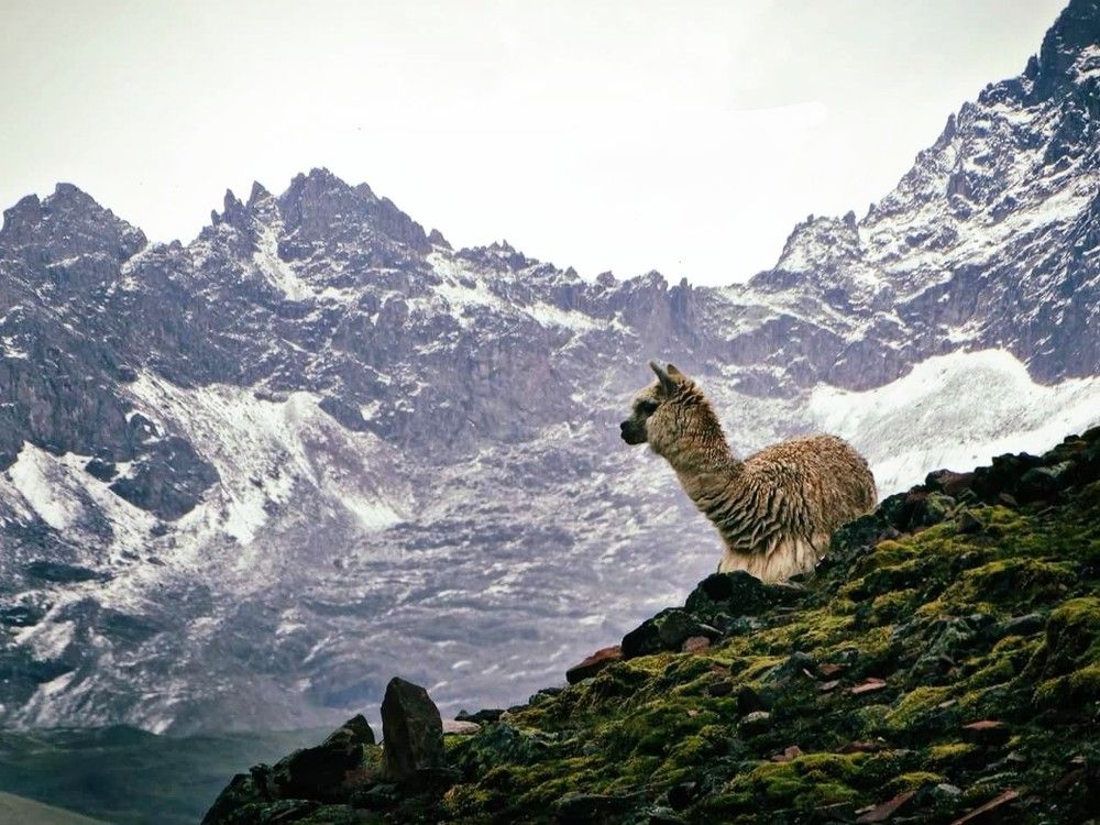 Descanso en las montañas