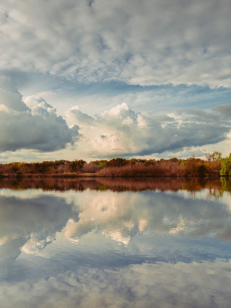 La tierra y la mirada #2