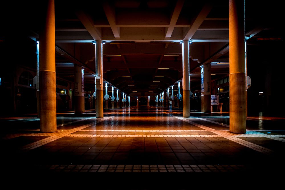 Photograph by Николай Пузанкевич