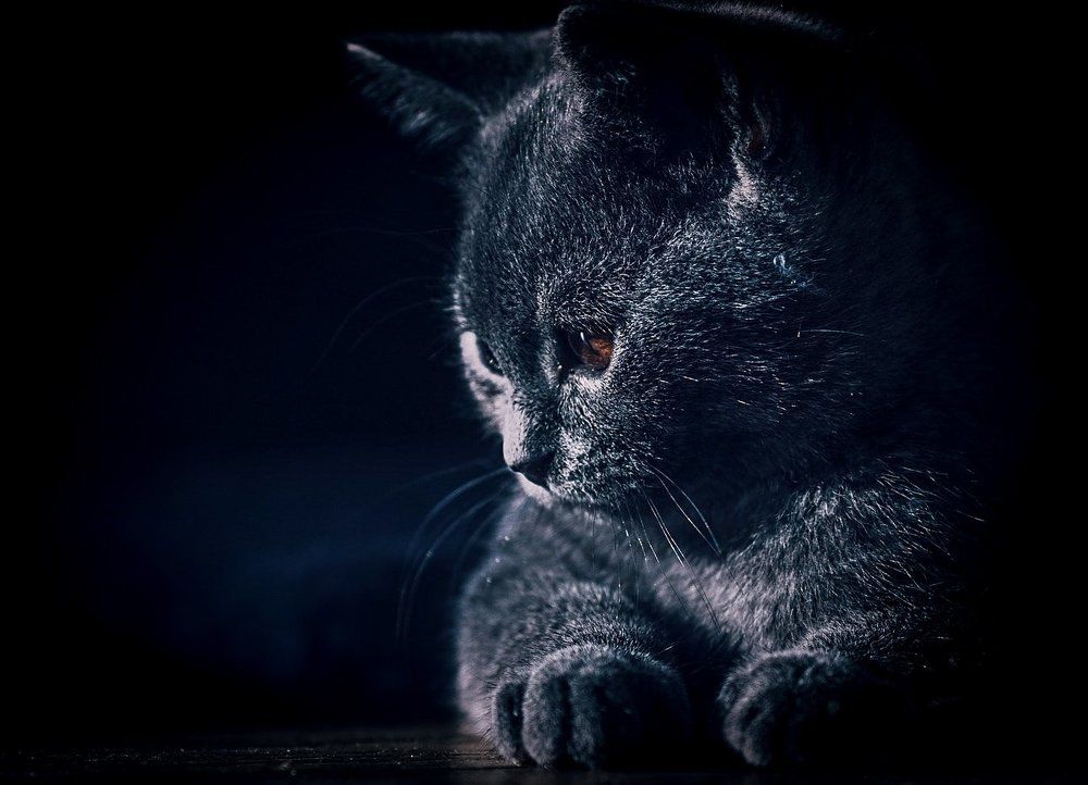 Oliver