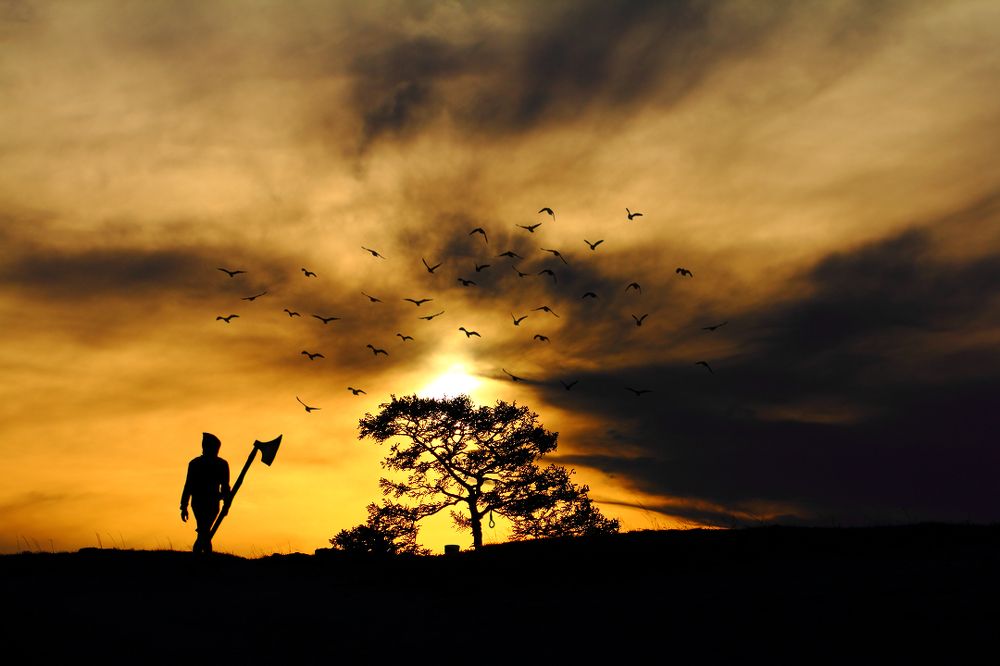 Приближение неизбежного...