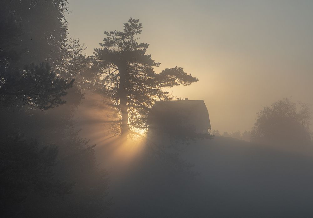 Туманное утро