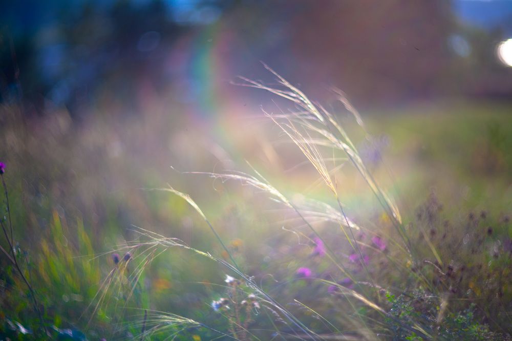 Photograph by Гузель