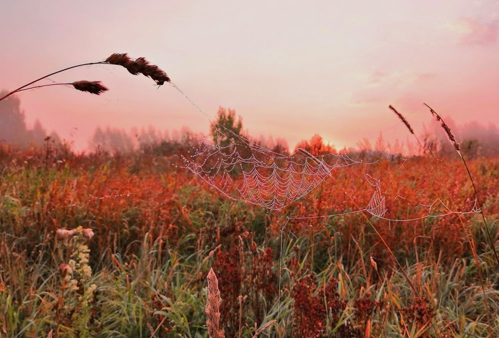 Осенний рассвет