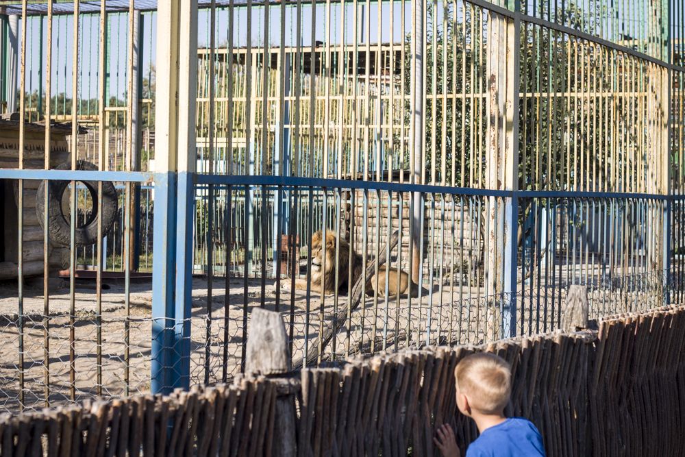 "Кто там?"  , "Лееееееев???"