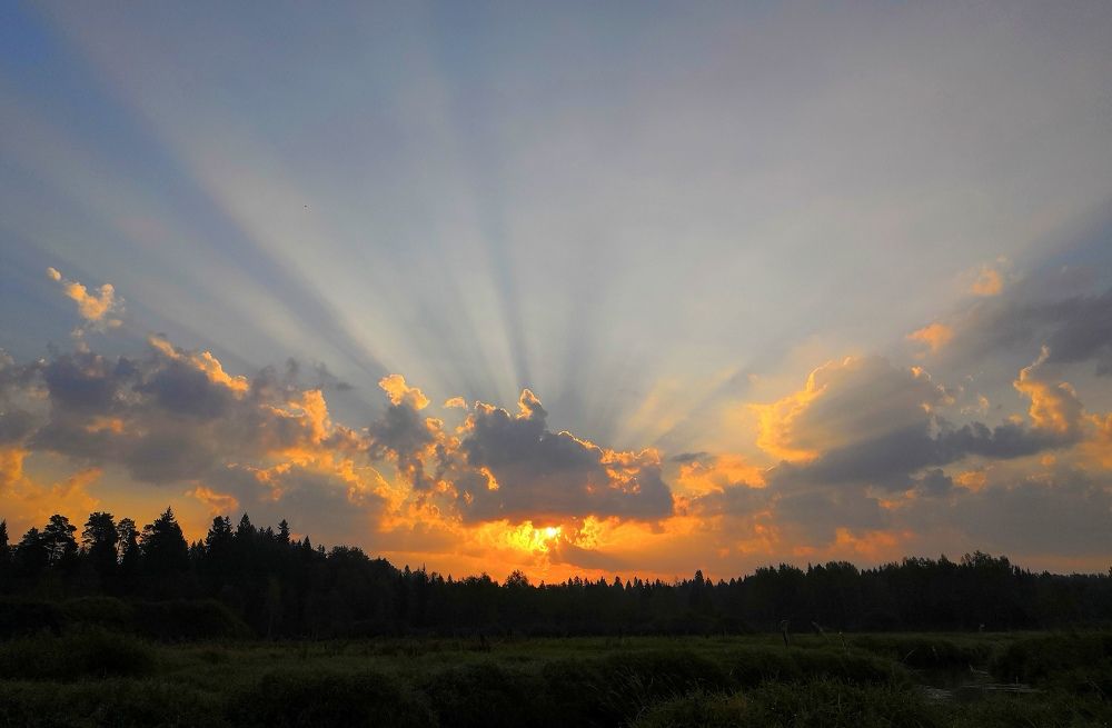 Солнечные лучи