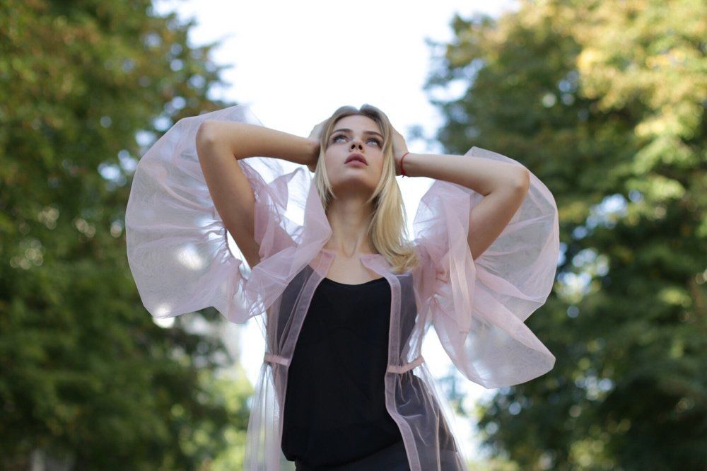 Крылья мечты