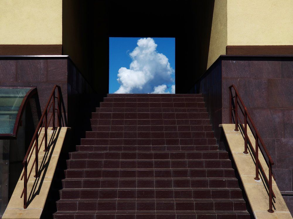 Без названия