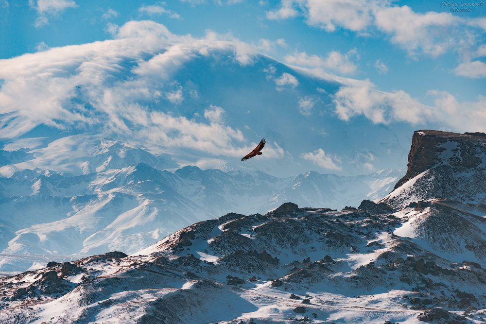 "Легенды гор. Скала Прометея, орел Эфон у подножья Олимпа Кавказа"