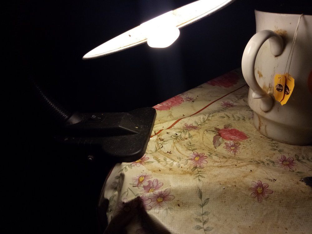 Photograph by Константин