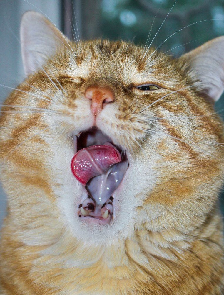 С добрым утром!