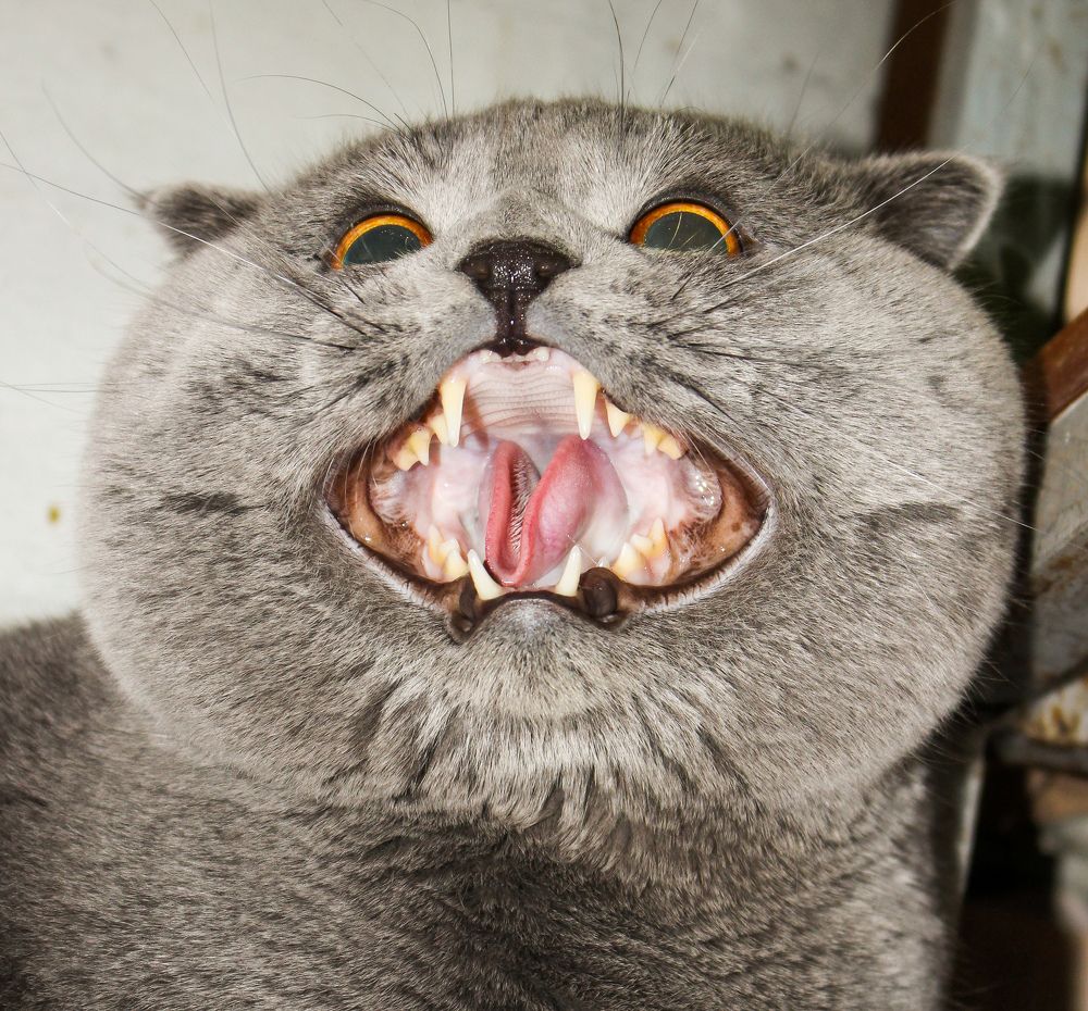 Настроение как-то не очень ...