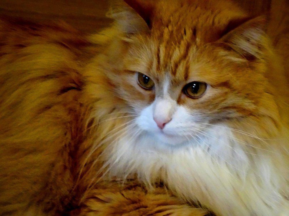 Photograph by Марина Раткун