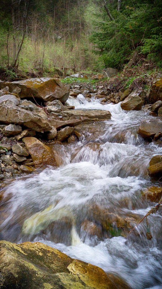 Журчащая ручейка