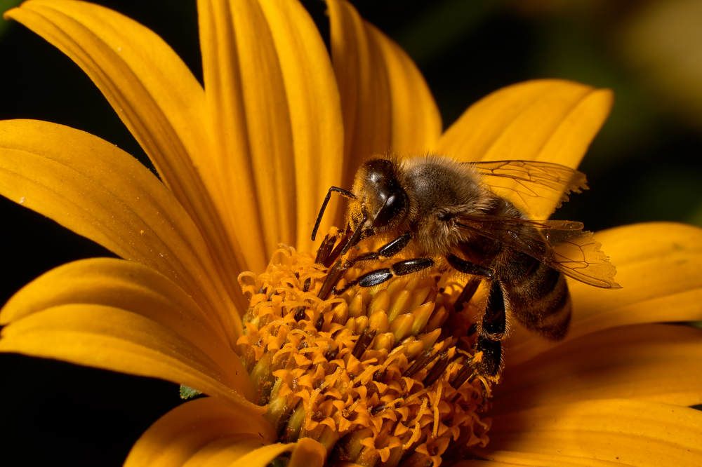 Photograph by Беспалов Александр
