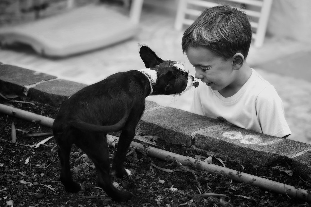 Давай дружить!