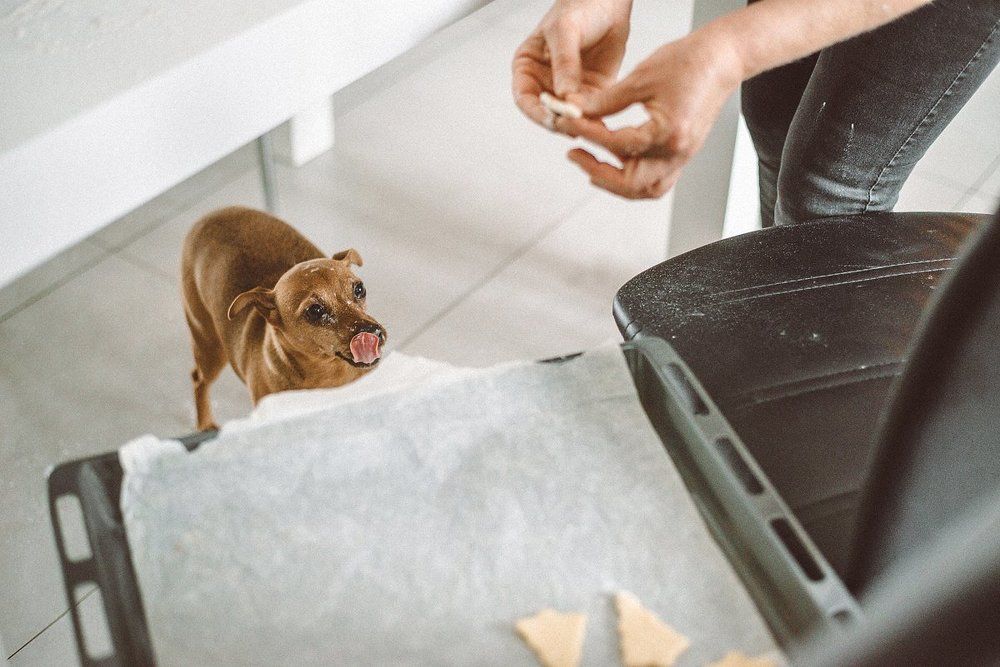 Photograph by Енгалычева Антонина