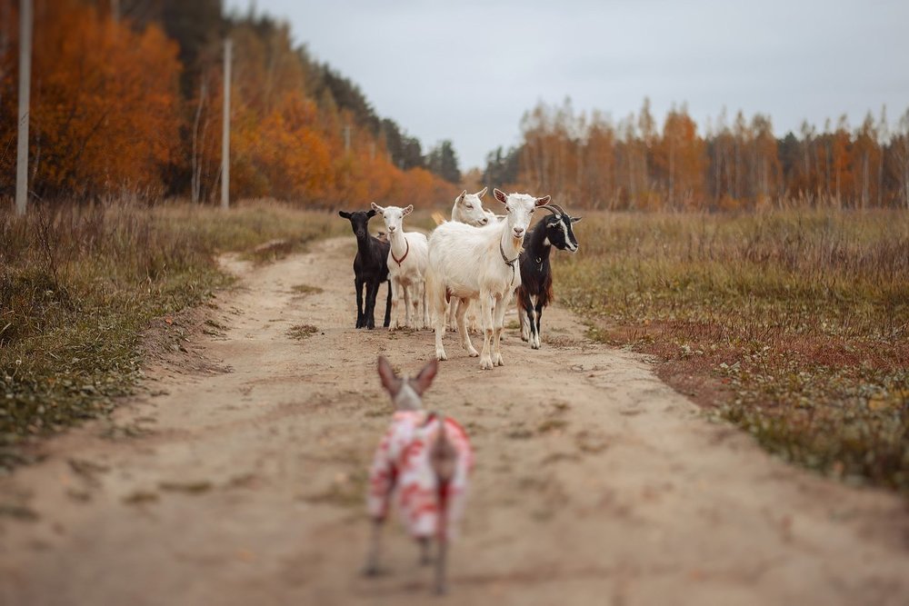 Photograph by Енгалычева Антонина