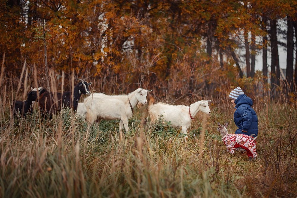 Photograph by Енгалычева Антонина