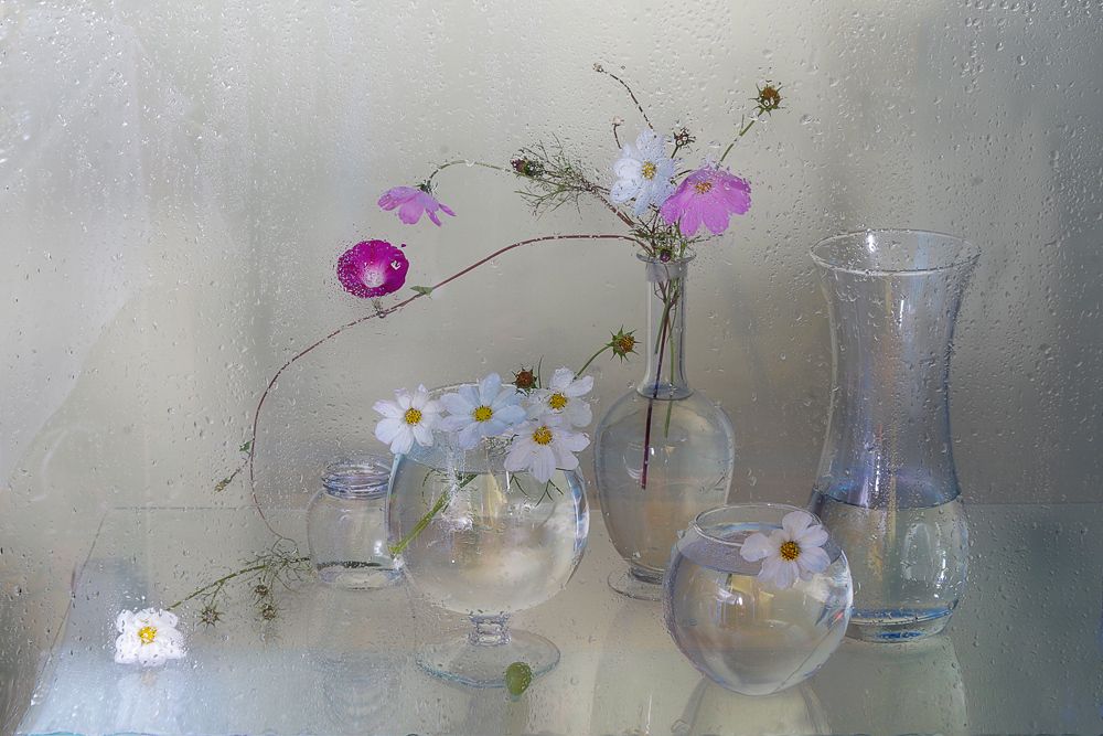 Прозрачный каприз