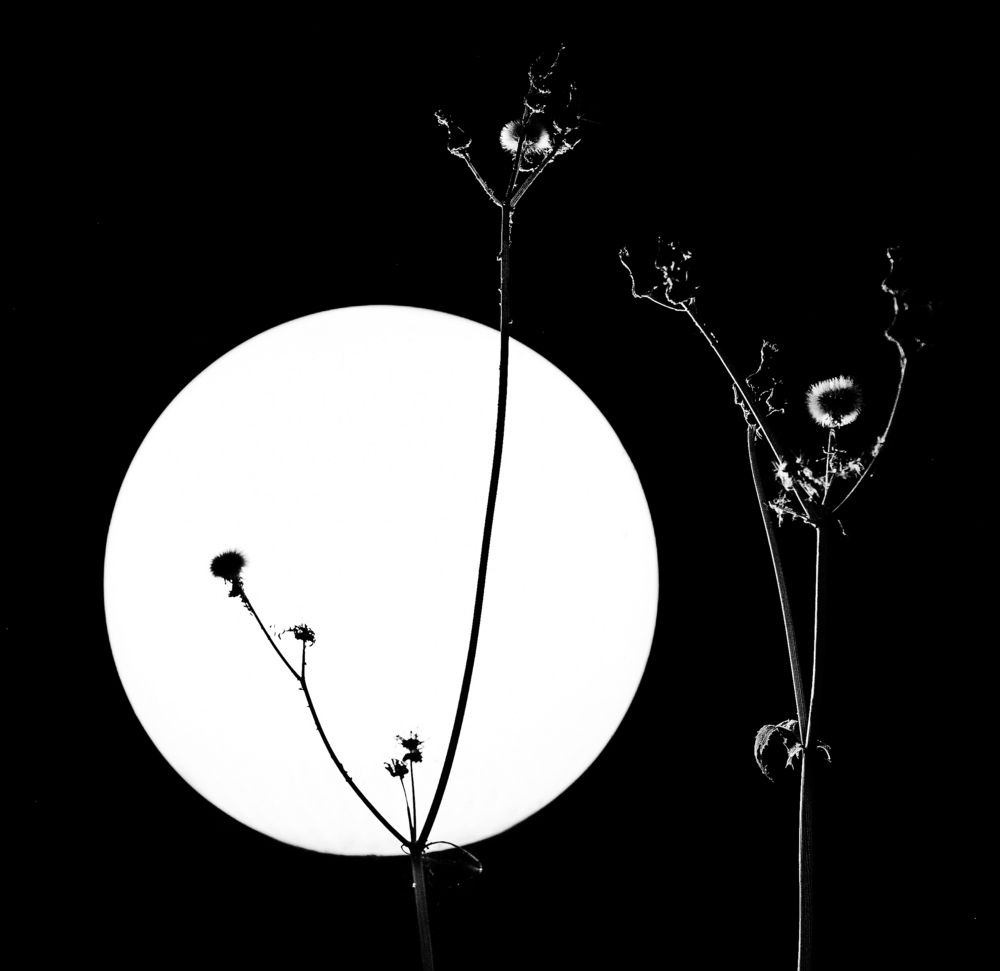 Ночь, улица, фонарь ...