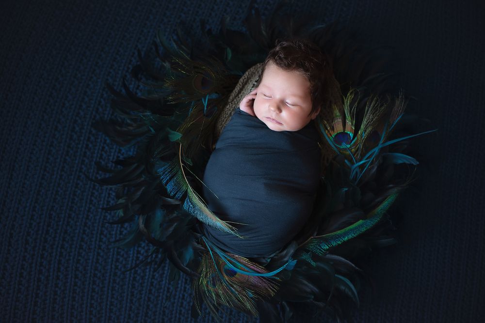 Павлин / Peacock