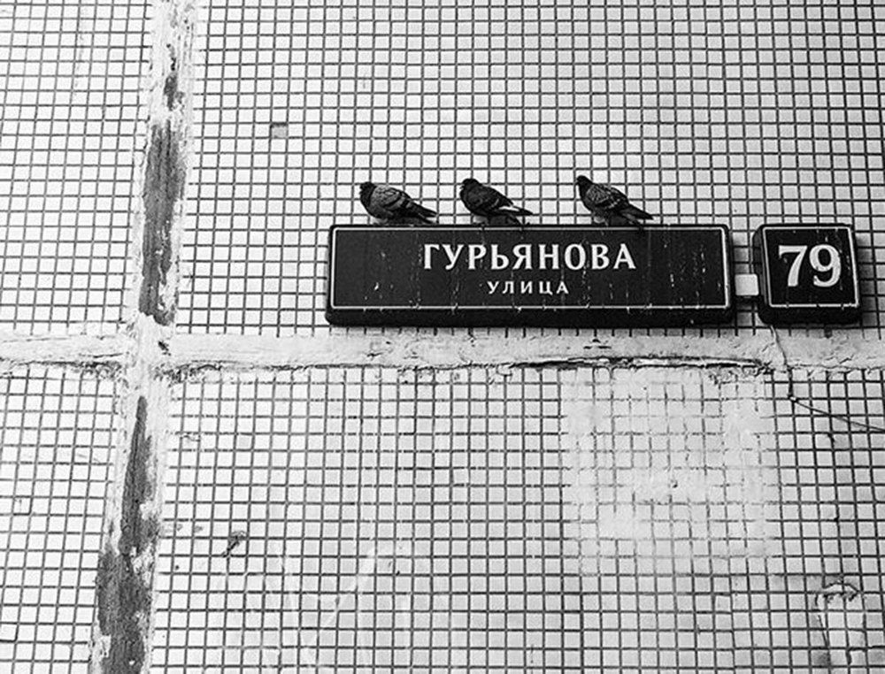 Photograph by Павлова Анастасия