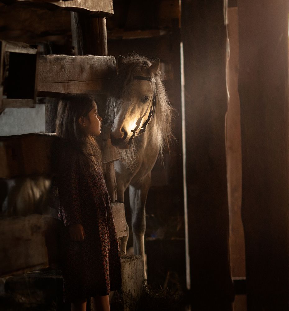 Фотография автора Дарья Степанова
