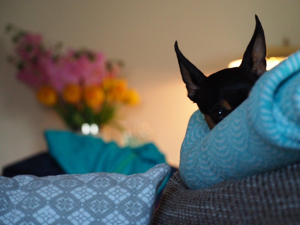 Охрана бдит