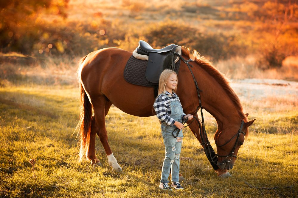 Осенние мотивы