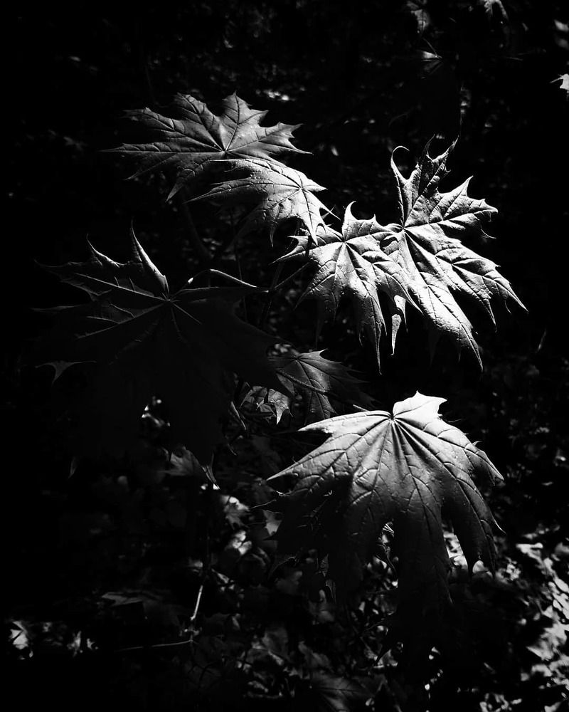 Photograph by Елецкая Лариса