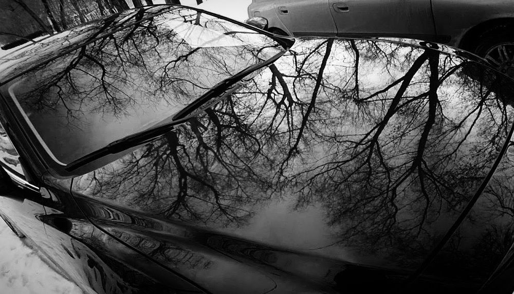 Photograph by Елецкая Лариса